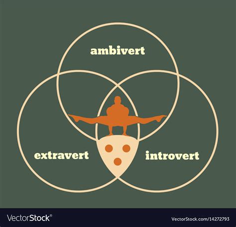 Extrovert Introvert And Ambivert Metaphor Vector Image