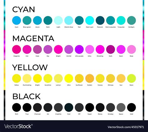 Round Cyan Magenta Yellow And Black Cmyk Color Vector Image