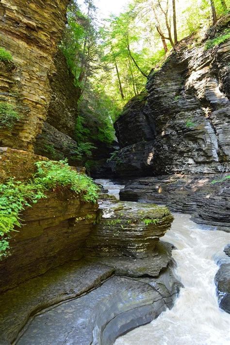 We are central to the finger lakes national forest, wineries & breweries, watkins glen state park and also the towns of corning, geneva, ithaca, seneca falls and hammondsport ny. Watkins Glen State Park, NY