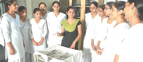 Best Top 10 Nursing Colleges In Punjab Indiabca College In Punjab