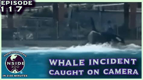 Mydisneyfix Seaworld Orca Incident Caught On Camera Inside The Magic
