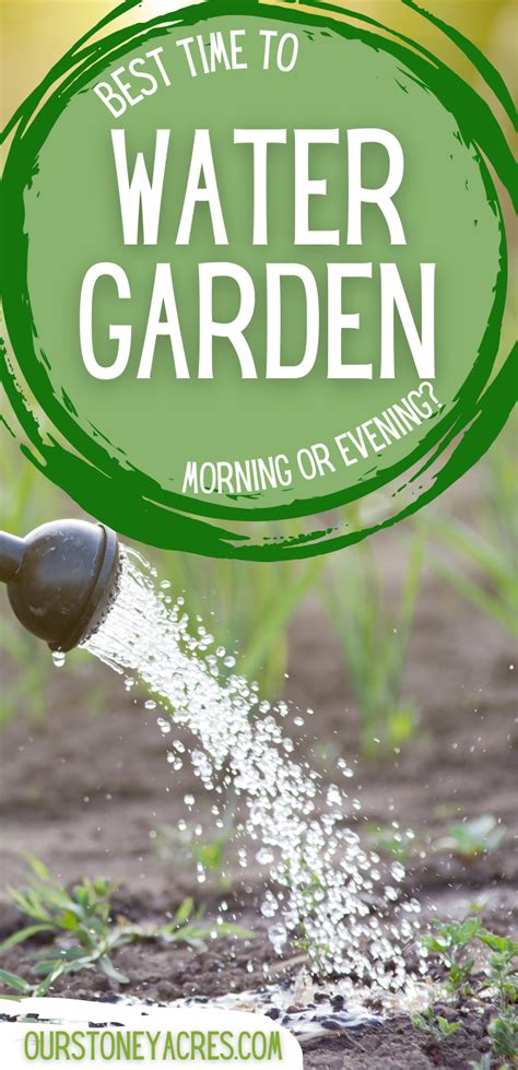 Many Of The Biggest Problems Vegetable Gardeners Have Stem From Watering Problems This Guide