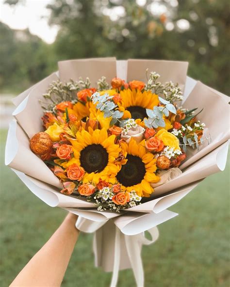 Sunflower 🌻 On Twitter So Pretty 🌻🌻 1rgvpvfogk Twitter