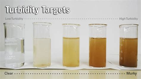 Turbidity And Salinity In Water Quality Kings Bay Restoration Project
