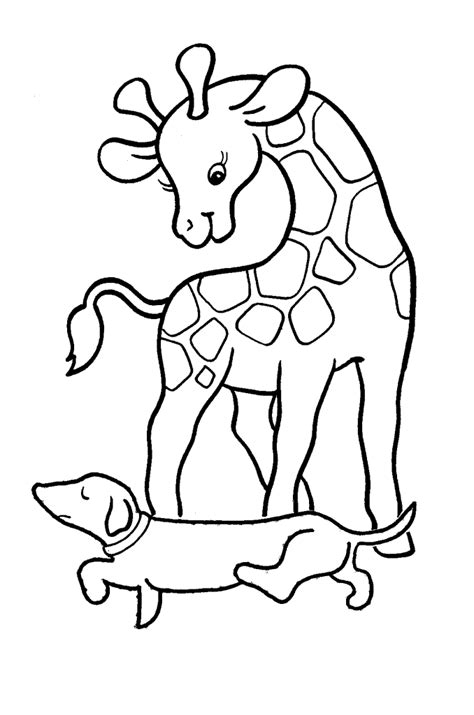 Picture Of A Giraffe To Color Coloring Home