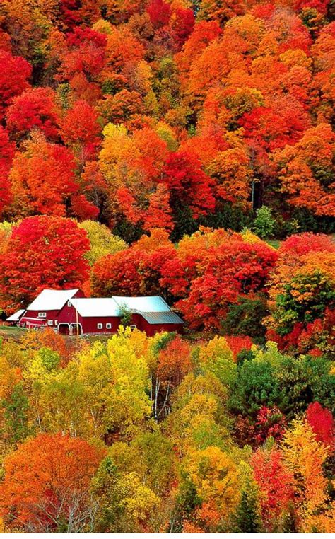 Beautiful Fall Scenery Peyzaj Düzenlemesi Fikirleri