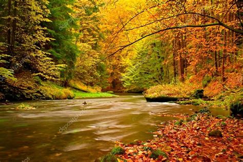 Autumn Mountain River Blurred Waves Fresh Green Mossy Stones And