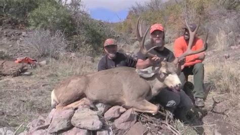 Big Utah Mule Deer Kill Shot Youtube