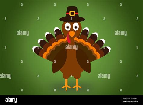 Cute Cartoon Turkey Pilgrim With Hat On Green Background Thanksgiving