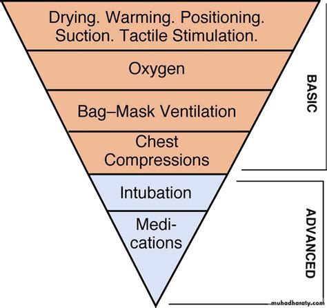 Neonatal Resuscitation Triangle