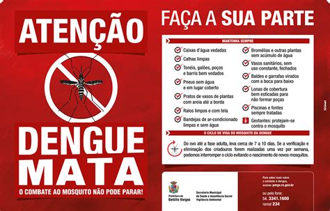 Cuidados Com A Dengue Prefeitura Municipal De Getúlio Vargas