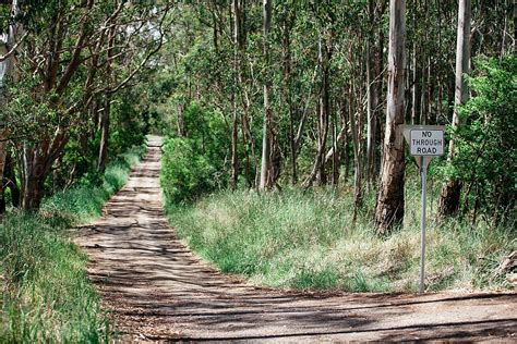 Country Road To Nowhere By Stocksy Contributor Rowena Naylor Stocksy