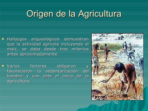 Origen De La Agricultura162