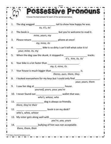 Possessive Pronouns Worksheet Learn With Fun