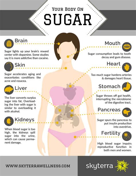 The nephrons in the kidneys are supplied with a dense network of blood vessels, and high over time, uncontrolled high blood pressure can cause arteries around the kidneys to narrow, weaken or harden. Your Body on Sugar: An Infographic Examining System-Wide ...