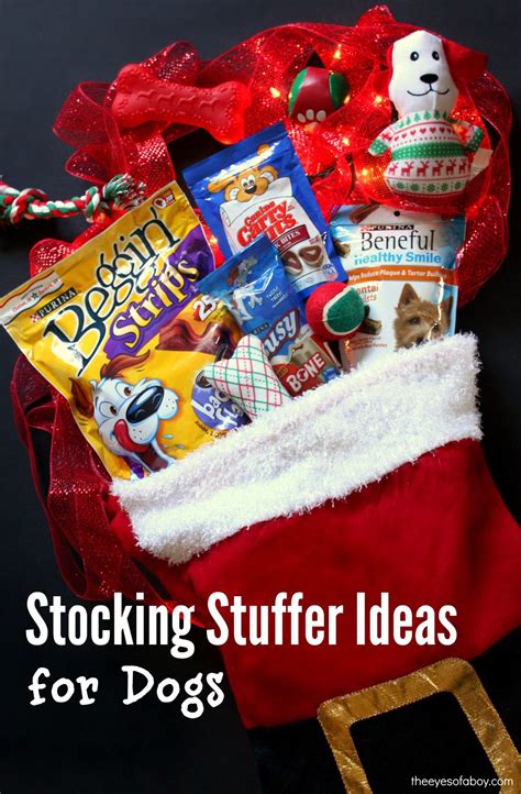 Maybe you would like to learn more about one of these? Holiday Stocking Stuffer Gift Ideas for Dogs - The Eyes of ...