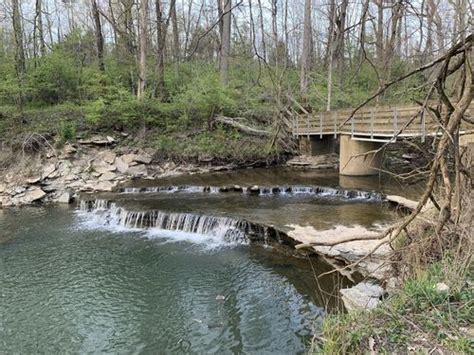 Photos Of Caesar Creek State Park Perimeter Loop Trail Ohio Alltrails