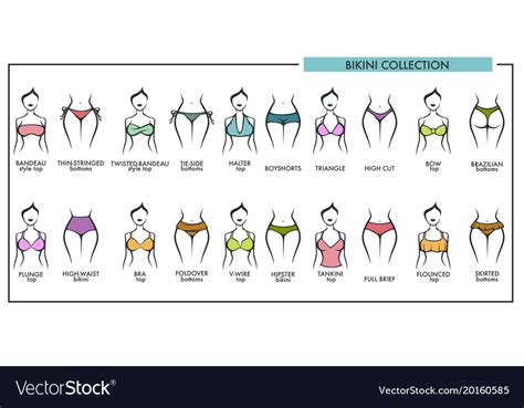 Woman Bikini Types Collection Icons Royalty Free Vector