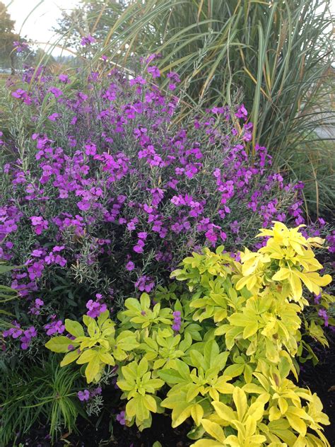 Home Bluleaf Gardens And Health Blumen