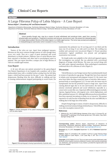 PDF A Large Fibroma Polyp Of Labia Majora A Case Report