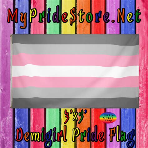 Demigirl Pride Flag Lgbtq Pride Flag In 2022 Pride Flags Lgbtq