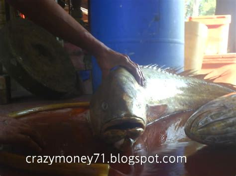Pulau laki merupakan salah satu pulau yang berada di gugusan kepulauan seribu. Blog Cik Ina Do do Cheng: Dari laut kekuali...........part 1