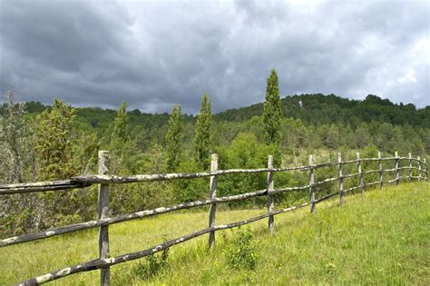 Free Images Tree Nature Grass Fence Field Farm Meadow