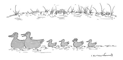 Two Ducks Lead A Line Of Four Ducklings Drawing By Michael Crawford