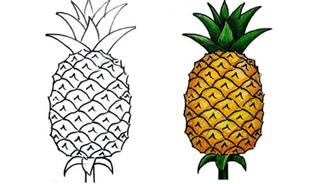 How To Draw A Pineapple Outline Draw Easy