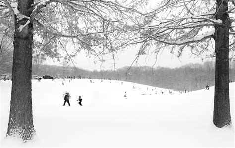Black And White Winter Scene Canvas Prints By Mark Mcelroy Redbubble