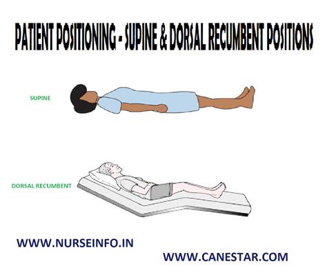 Patient Positioning Supine And Dorsal Recumbent Position Nurse Info