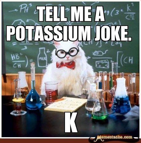 The funniest science memes found on the internet in one video title: 15 Top Science Cat Meme Images and Pictures | QuotesBae