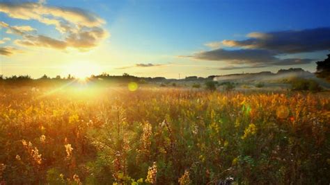 Landscape Sunset Field Meadow Nature Stock Footage Video 100 Royalty
