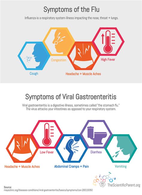 Gastroenteritis, also known as infectious diarrhea and gastro, is inflammation of the gastrointestinal tract—the stomach and intestine. Pin on Our Infographics