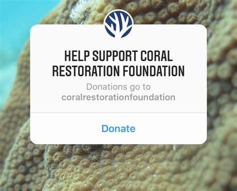 If you're actively on facebook instagram also announced that 100% of the money raised through the donate function goes directly. Why Instagram's New "Donate" Sticker is a Game Changer for ...