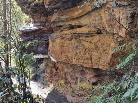 Cliff Face On Greaves Creek On The Grand Canyon Track In The Blue