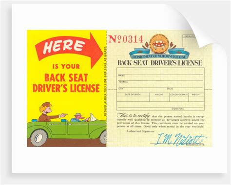 Back Seat Drivers License Posters And Prints By Corbis