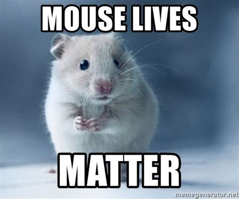 Mice Memes Awesome Dont Believe Me Small Pet Select