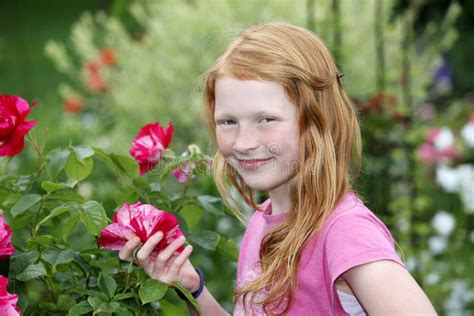 Girl With Roses Stock Photo Image Of Bloom Fresh Adorable 41532016