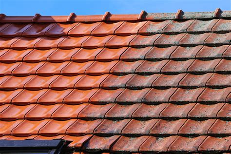 How To Clean Your Roof Stains Just Clean Property Care