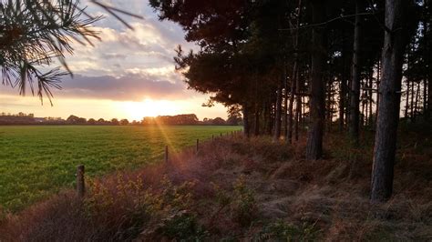 Oc Sunset Over A Field On An Autumn Evening In Suffolk England