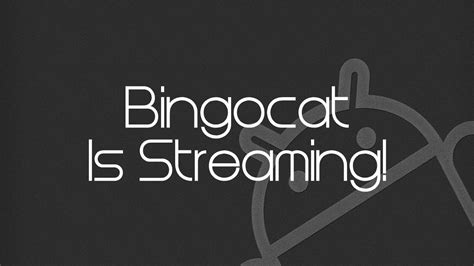 The Awesome Bingocat Tech And Gaming Voice Chat Youtube
