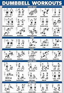 Free Printable Exercise Chart