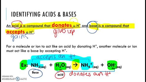 Identifying Acids Bases Conjugate Acids Bases In An Acid Base