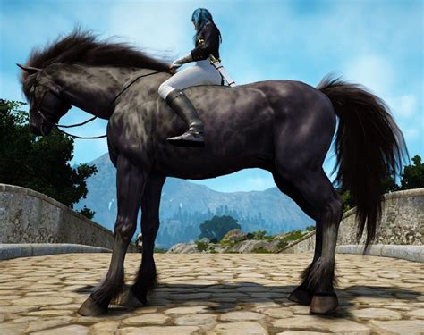Black Desert Online Tier 6 Horse Bdo Fashion