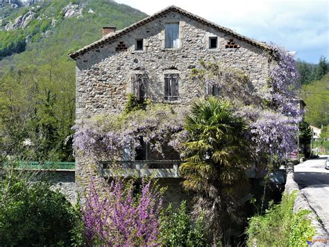 Photo : La maison aux glycines
