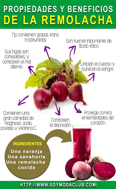 Beneficios Y Propiedades De La Remolacha Remedios Caseros Food