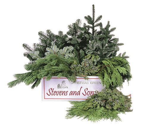 Holiday Greens Stevens And Son Wholesale Florist