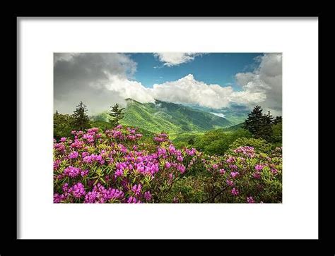 Appalachian Mountains Spring Flowers Scenic Landscape Asheville North