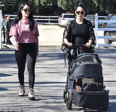 The Twin Divas Nikki And Brie Bella Enjoying Their Joint Pregnancies In 2020 Brie Bella